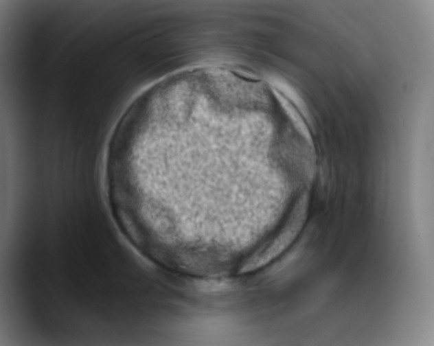 X0000089741103200707121503