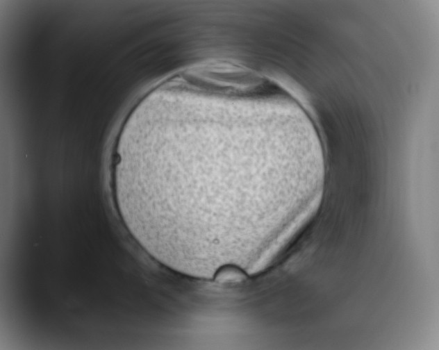 X0000089741104200707121503