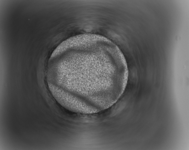 X0000089741105200707121502