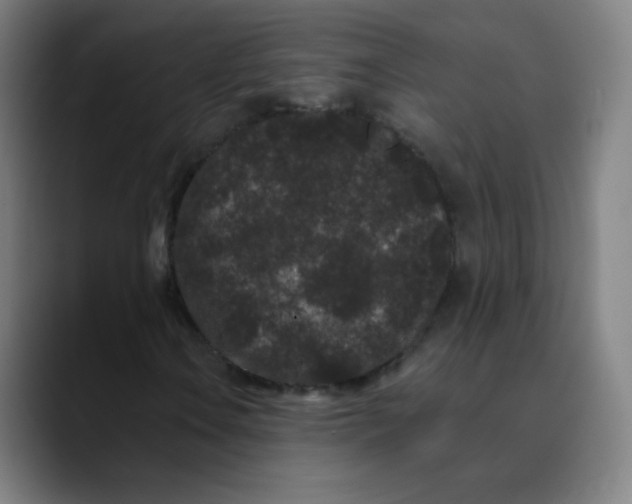 X0000089741106200707121502