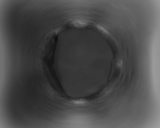 X0000089741108200707121502