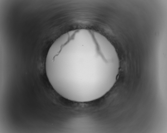 X0000089741109200707121502