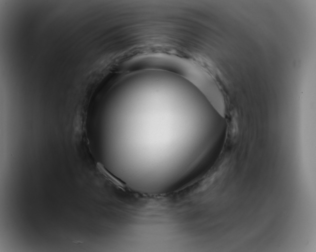 X0000089741110200707121502