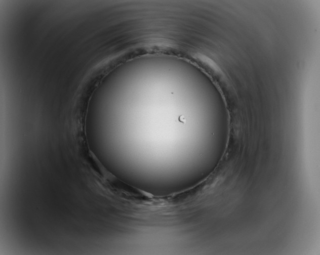 X0000089741112200707121502