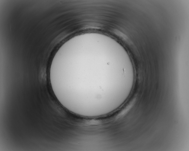 X0000089741113200707121502