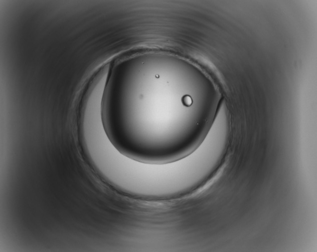 X0000089741114200707121502