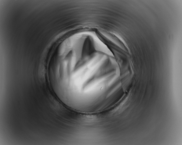 X0000089741115200707121502