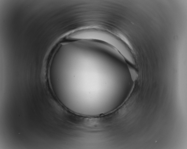 X0000089741116200707121502