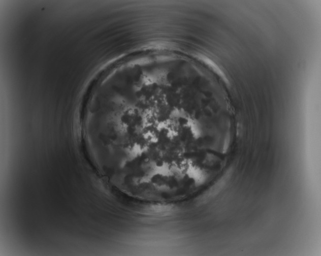 X0000089741117200707121502