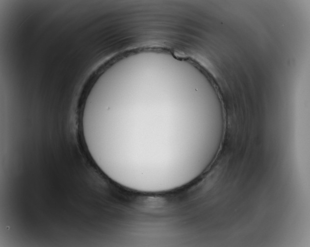 X0000089741119200707121502