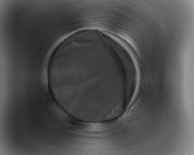 X0000089741120200707121502