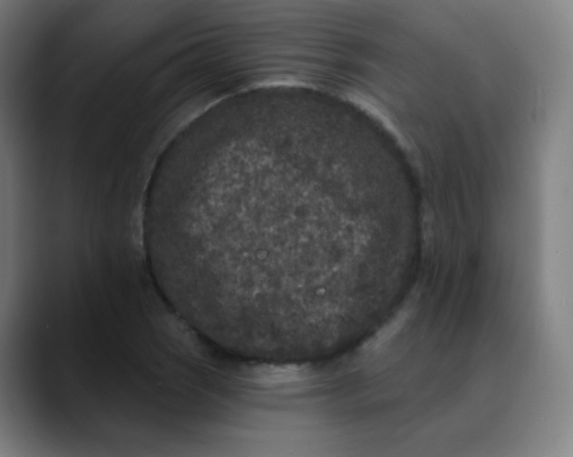 X0000089741121200707121502