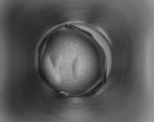 X0000089741124200707121502