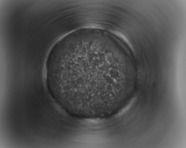 X0000089741125200707121502