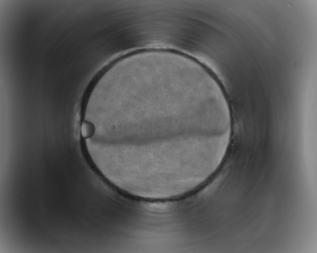 X0000089741126200707121502