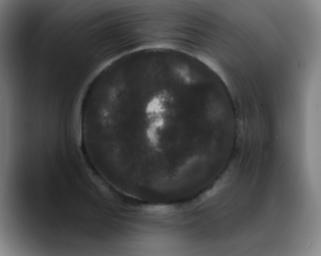 X0000089741127200707121502