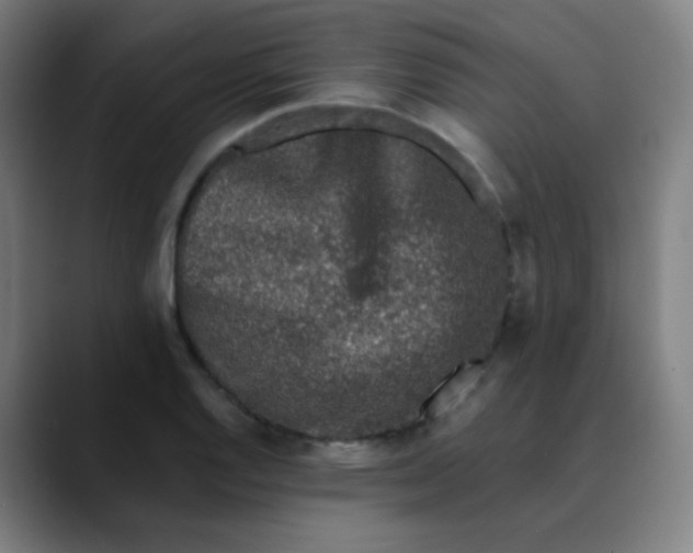 X0000089741128200707121502