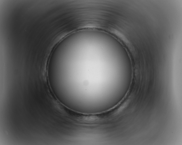 X0000089741129200707121502