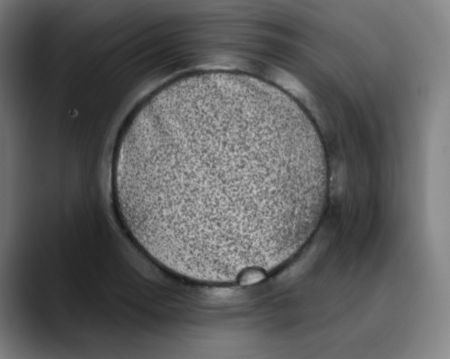 X0000089741130200707121502