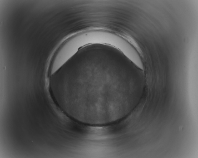 X0000089741132200707121502