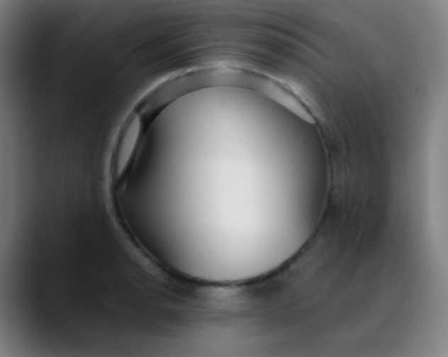 X0000089741134200707121502