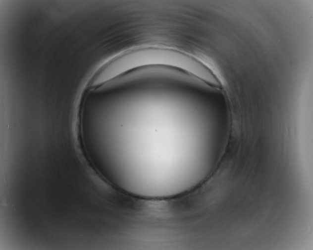 X0000089741136200707121502