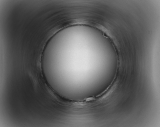 X0000089741137200707121502