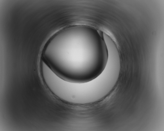 X0000089741138200707121502