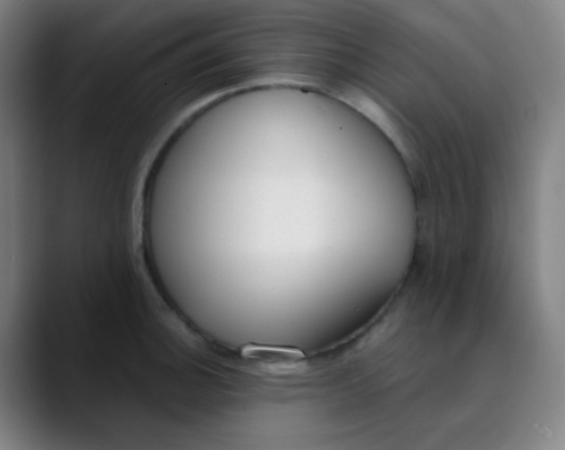 X0000089741140200707121502