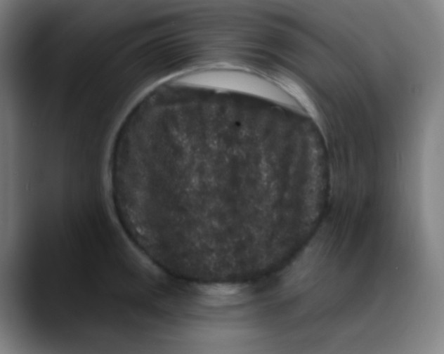 X0000089741141200707121502