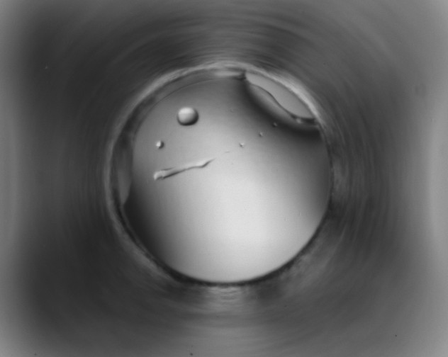 X0000089741142200707121502