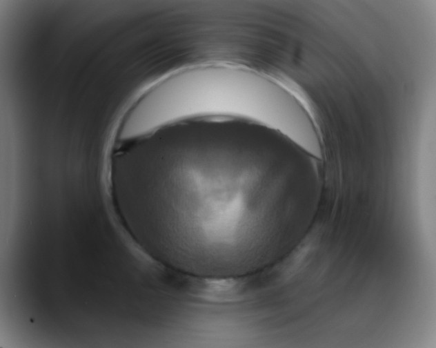 X0000089741144200707121502