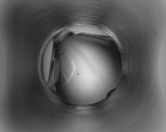 X0000089741146200707121502