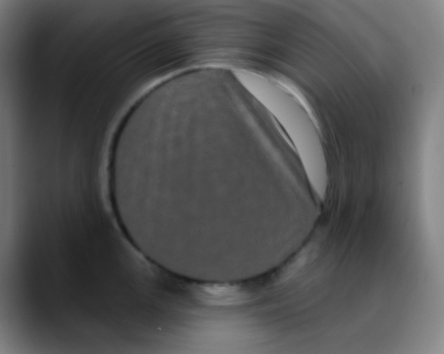 X0000089741147200707121502