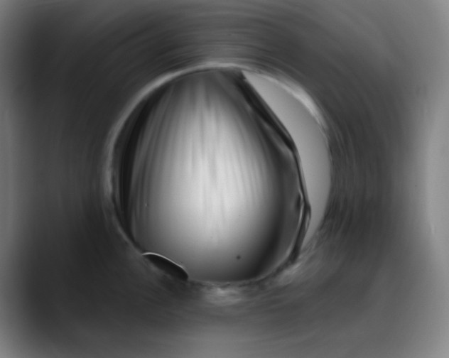 X0000089741148200707121503