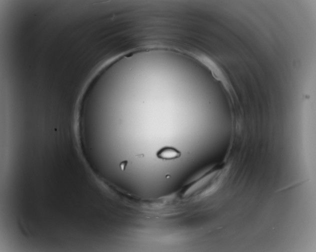 X0000089741149200707121503