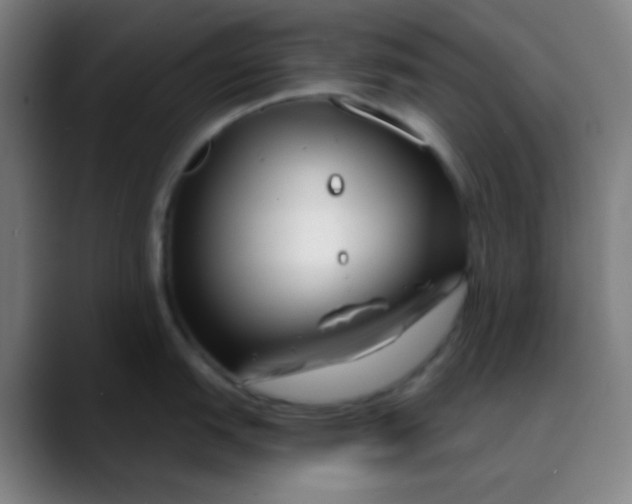 X0000089741151200707121503