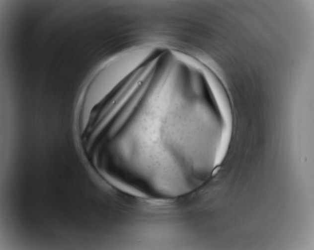 X0000089741152200707121503