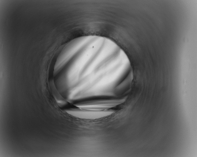 X0000089741153200707121502