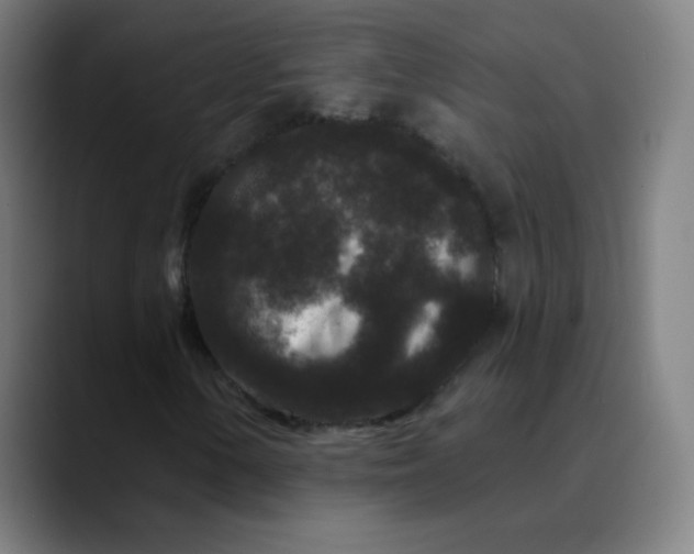 X0000089741154200707121502