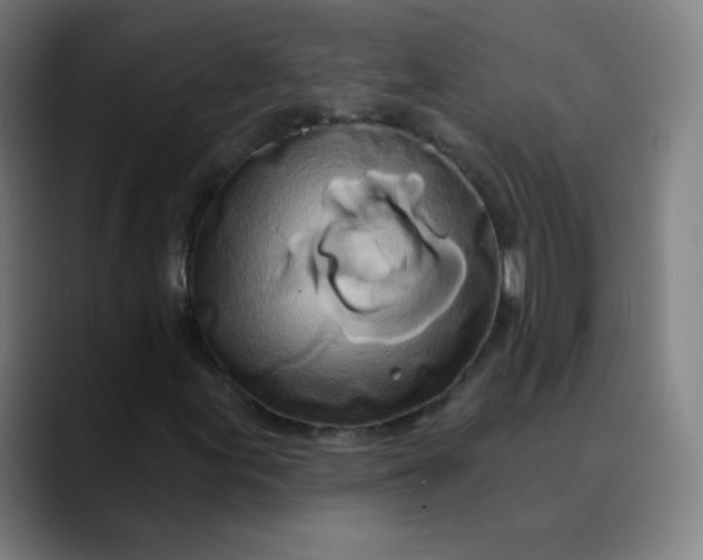 X0000089741155200707121502