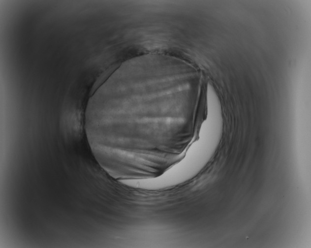 X0000089741156200707121502