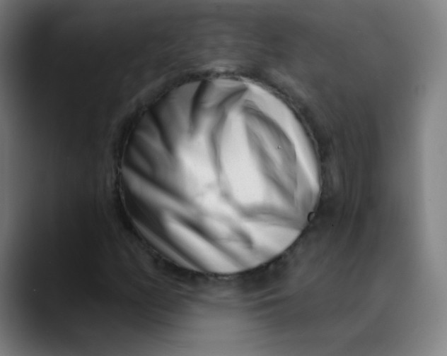 X0000089741158200707121502