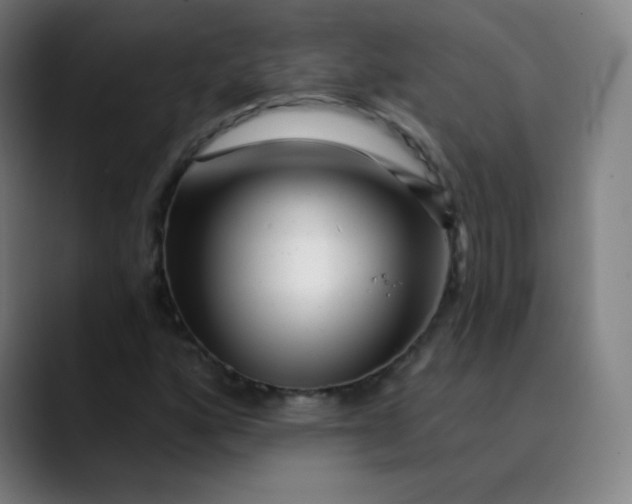 X0000089741160200707121502