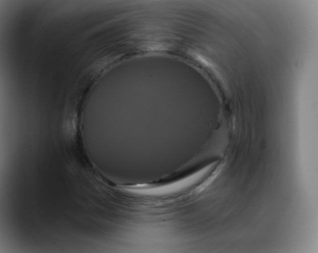 X0000089741161200707121502