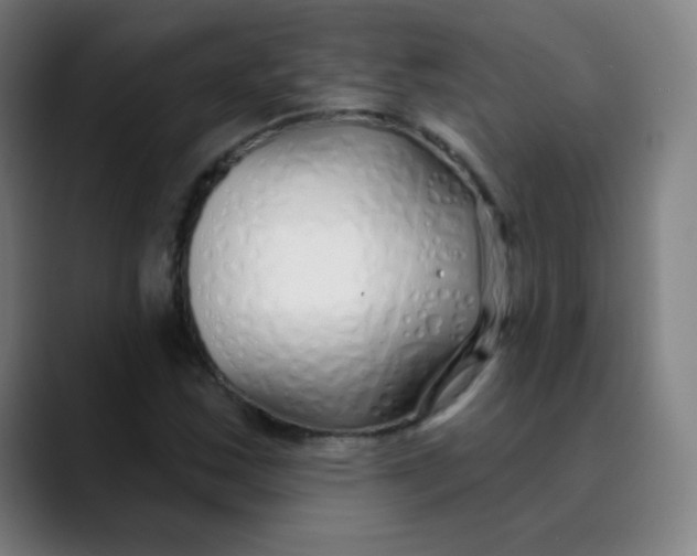 X0000089741163200707121502