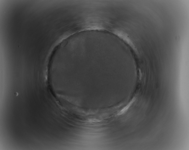 X0000089741165200707121502