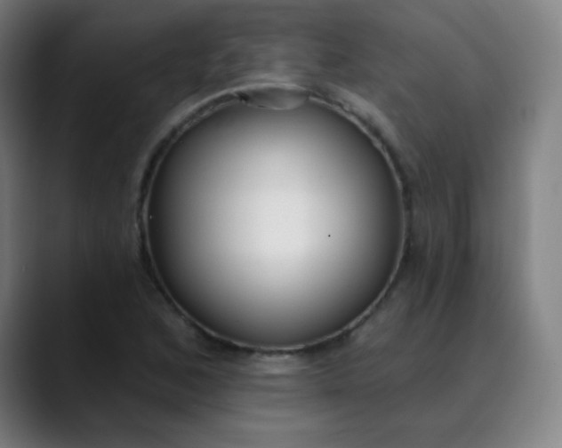 X0000089741168200707121502