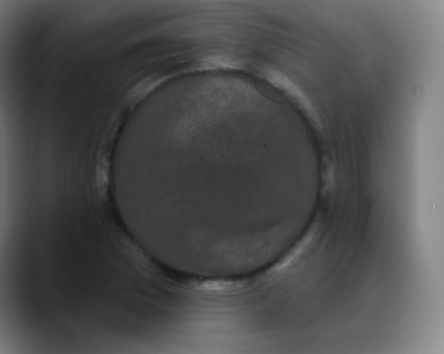 X0000089741169200707121502