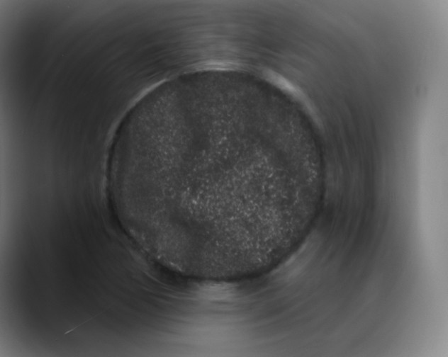 X0000089741170200707121502